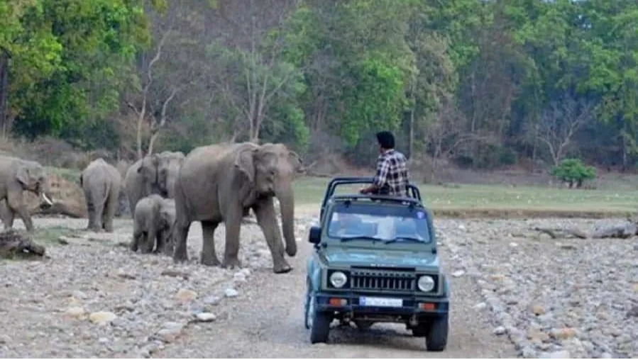 Rajaji National Park